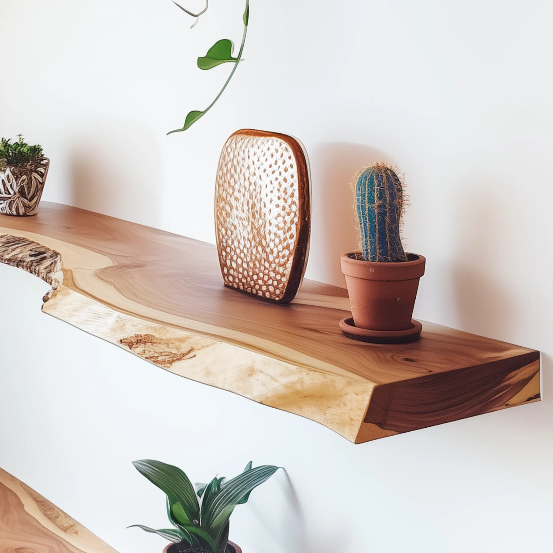 Natural Live Edge Floating Shelf mounted on a white wall decorated with plants ornaments